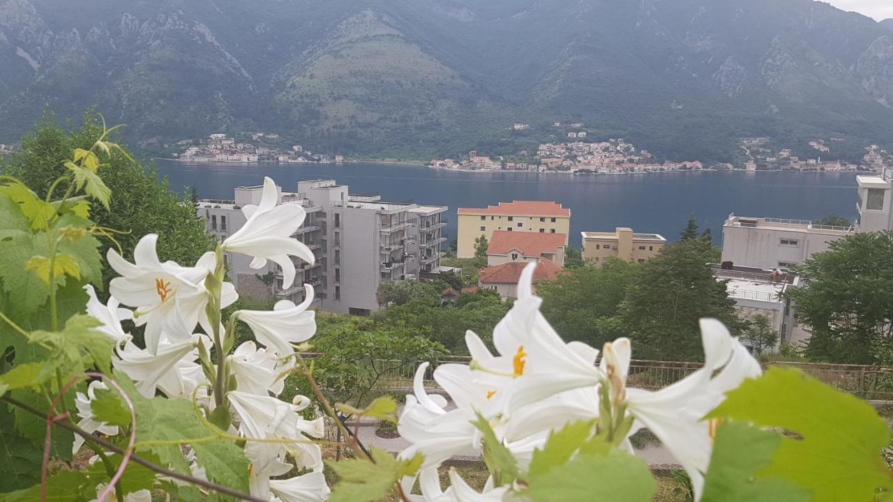 Apartment Jelena Κότορ Εξωτερικό φωτογραφία